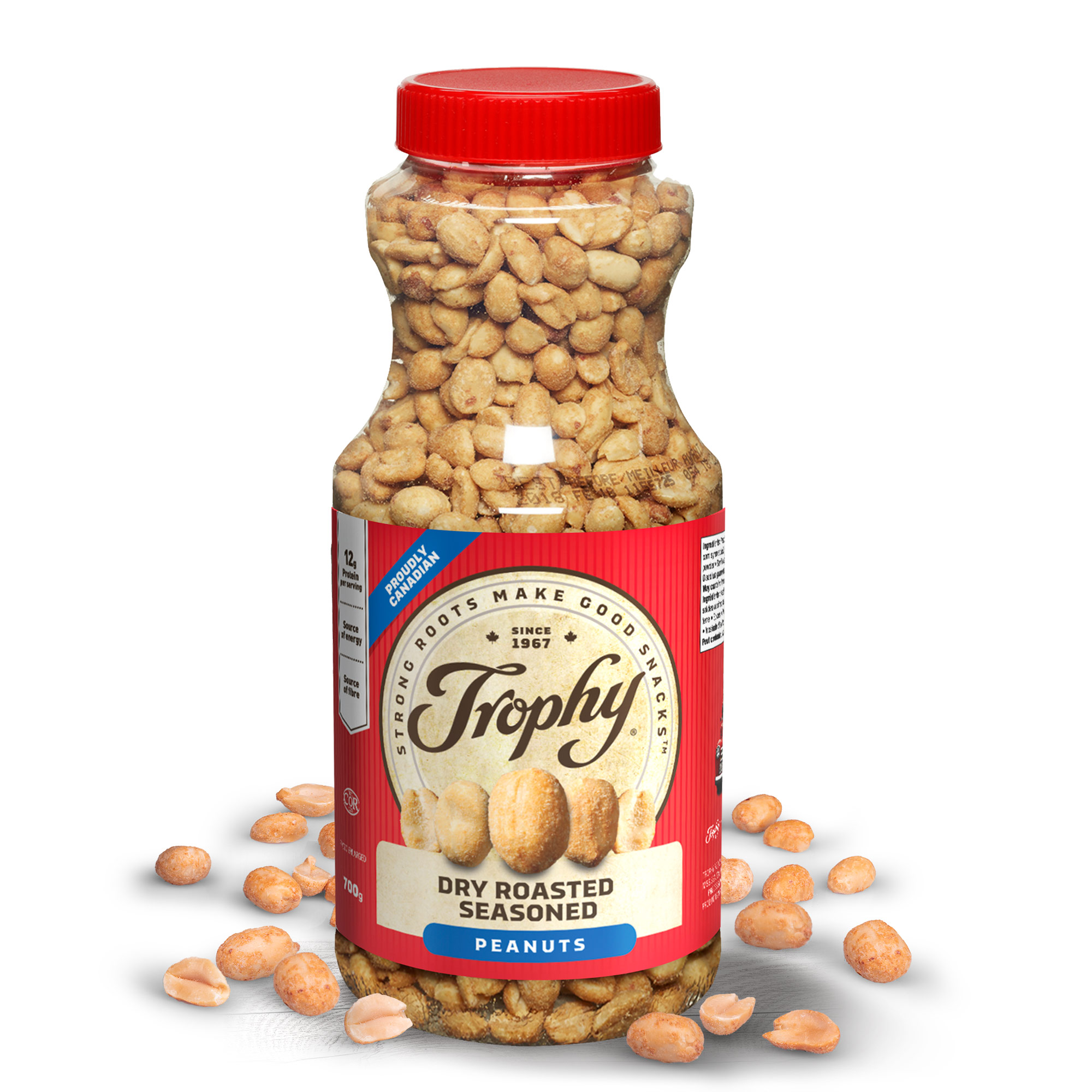 Dry Roasted Seasoned Peanuts